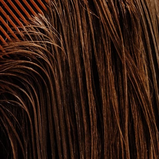 Summer Special at Shearly Elevated Hair Studio in Westminster, CO